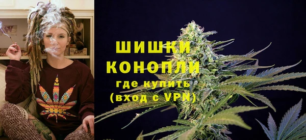 сатива Ладушкин