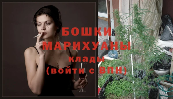 сатива Ладушкин