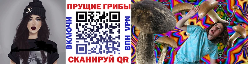 Псилоцибиновые грибы Psilocybe  Краснодар 